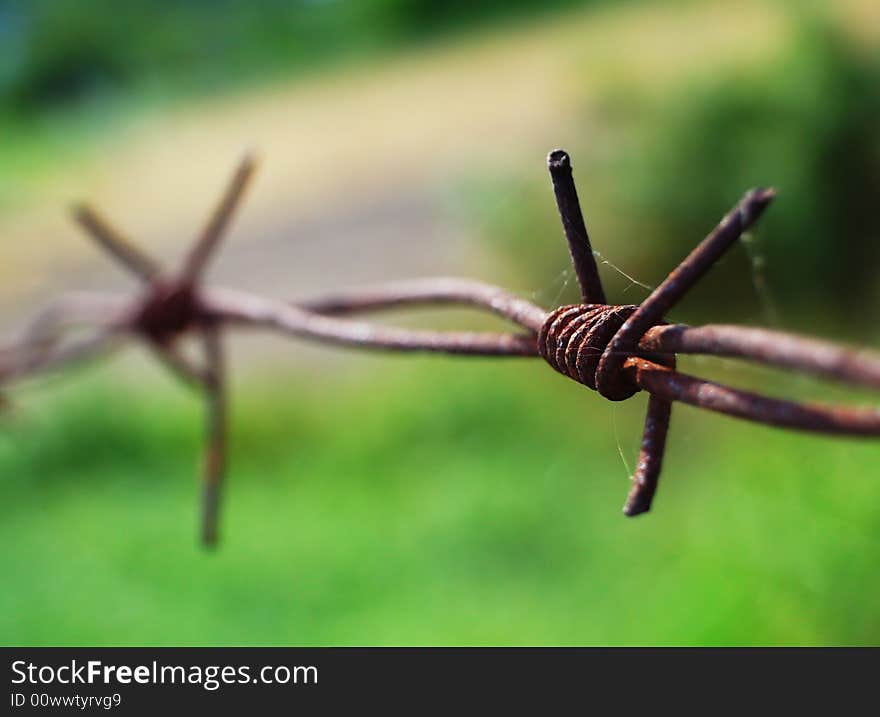 Barbed Wire