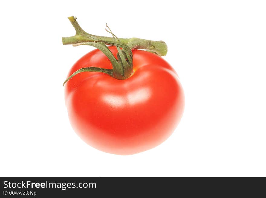 Single vine tomato isolated on a white background