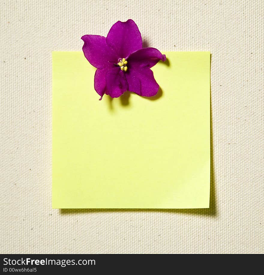 Note With Flower On Textile Background