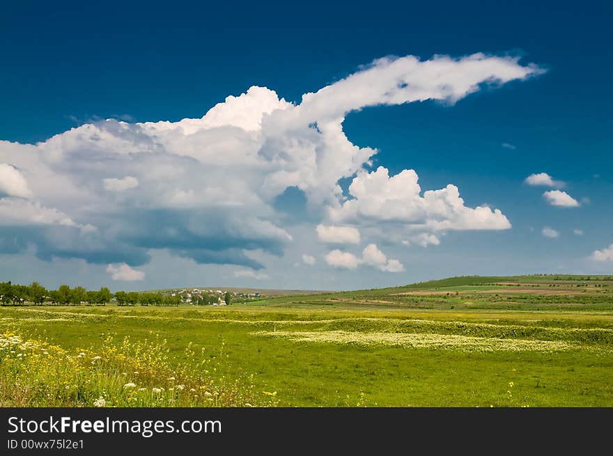 Summer Rural Landscape