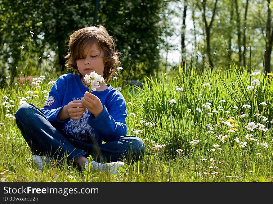 Young boy is sitting in the grass. Young boy is sitting in the grass