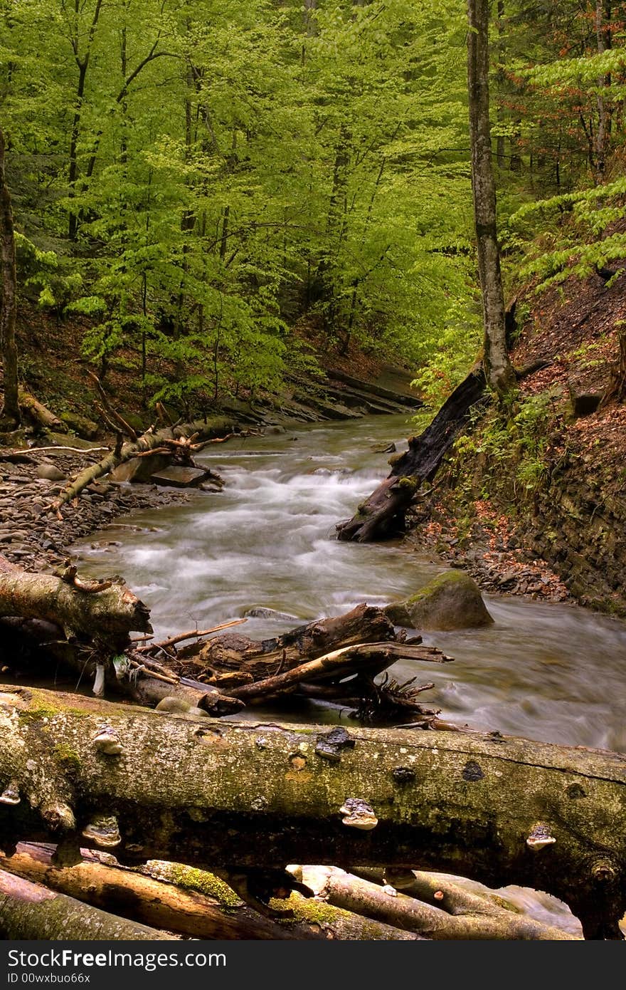 Mountain river in the forest of mountains with a waterfall