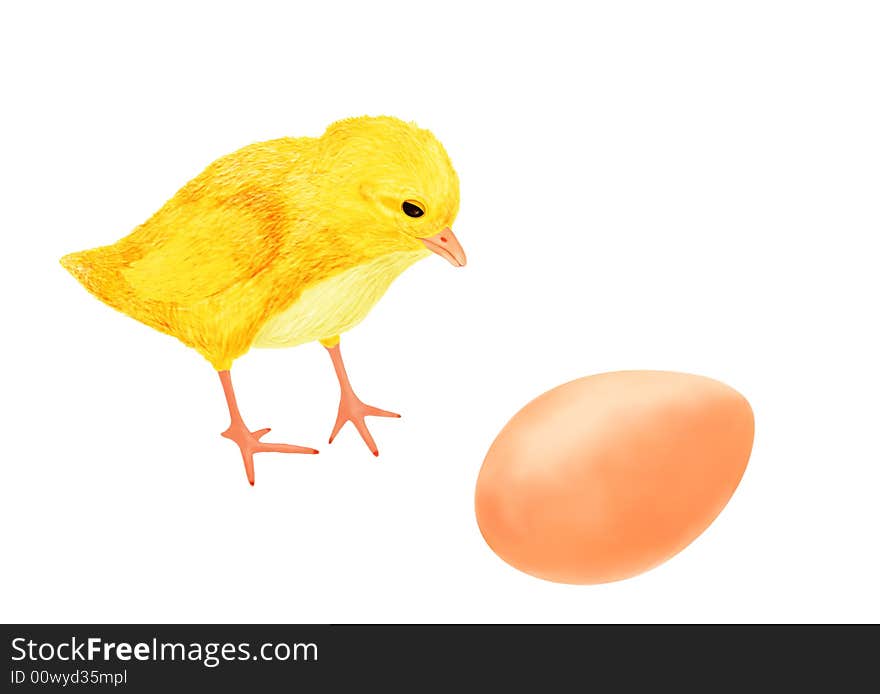 The chicken looks at an egg .Who hatchs from an egg?. The chicken looks at an egg .Who hatchs from an egg?