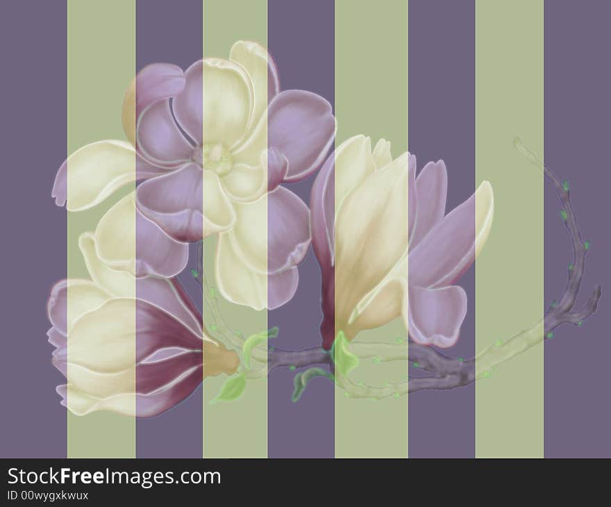 Striped Magnolia