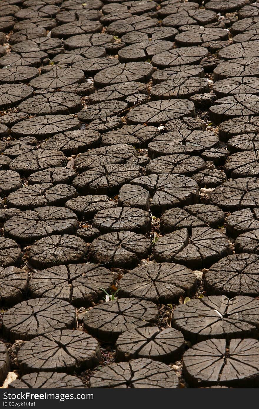 Cracked wooden pools hammered into ground for walking surface. Cracked wooden pools hammered into ground for walking surface