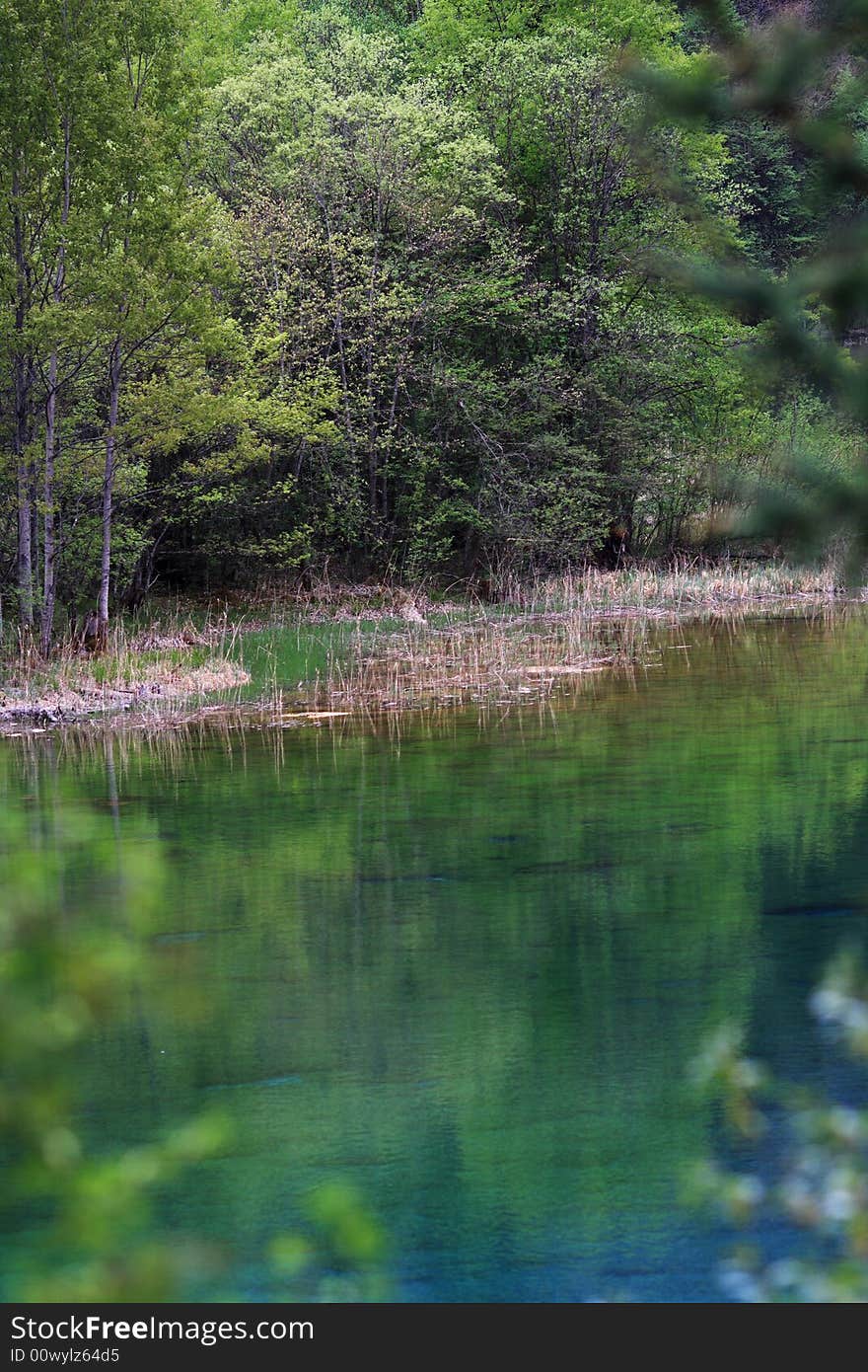 Lake in jiuzhaigou valley scene，sichuan province. Lake in jiuzhaigou valley scene，sichuan province