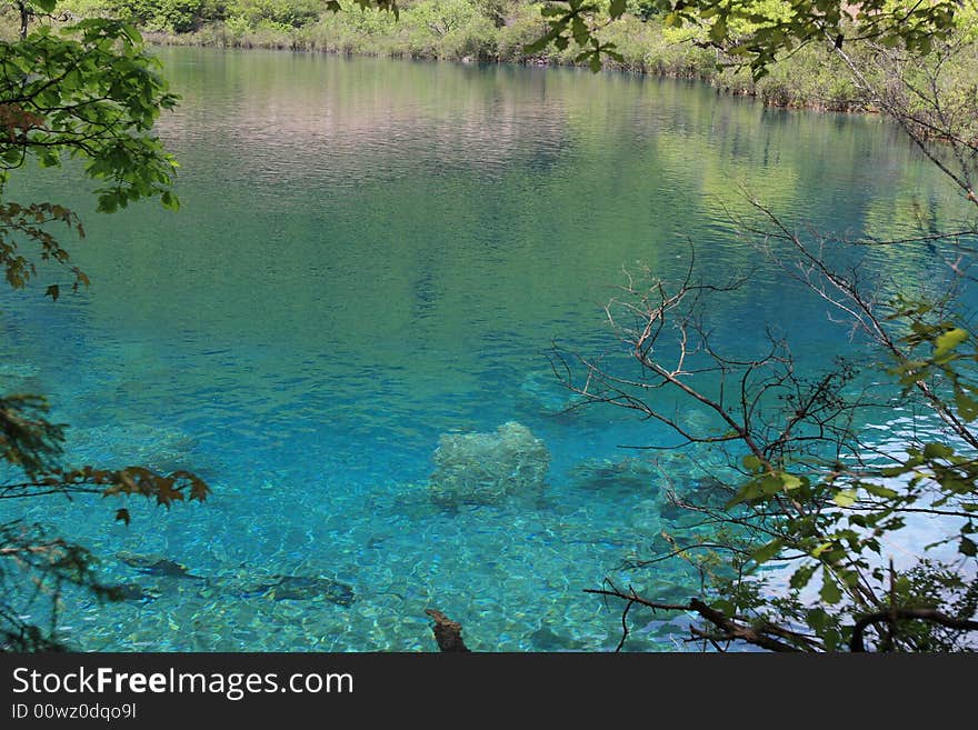 Beautiful lake in jiuzhaigou valley scene，sichuan province