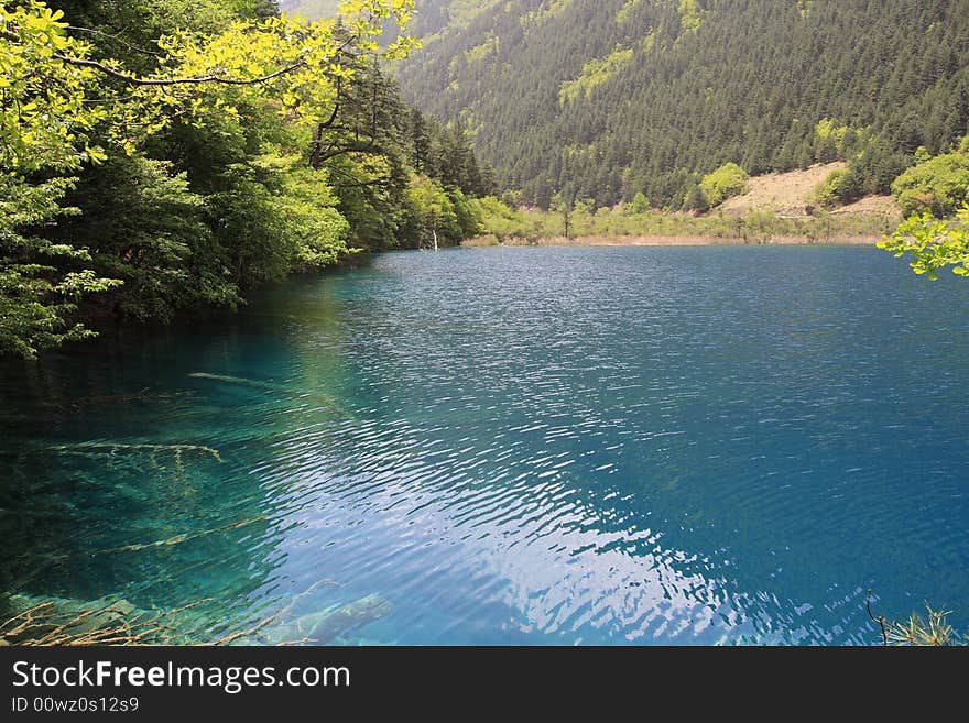 Beautiful lake in jiuzhaigou valley scene，sichuan province