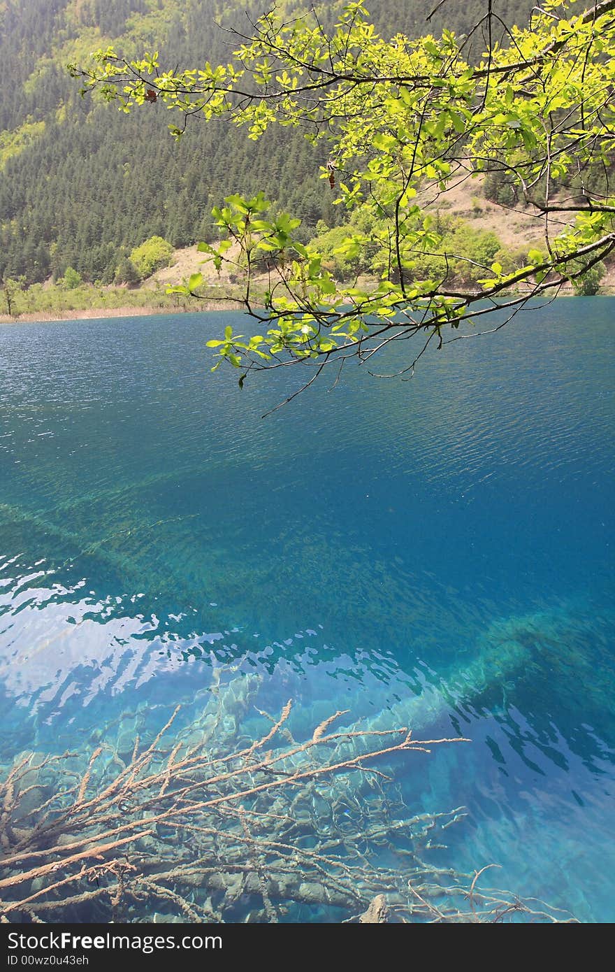 Lake in jiuzhaigou valley scene，sichuan province. Lake in jiuzhaigou valley scene，sichuan province