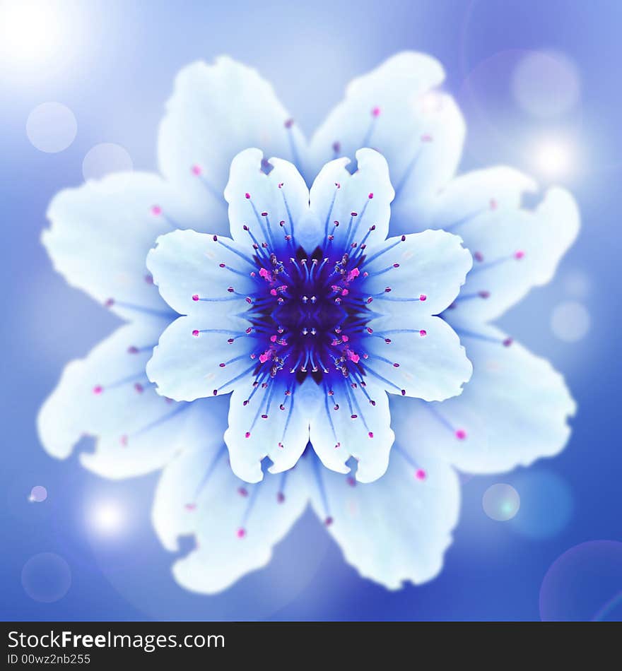 Blue abstract flower on the background. Blue abstract flower on the background