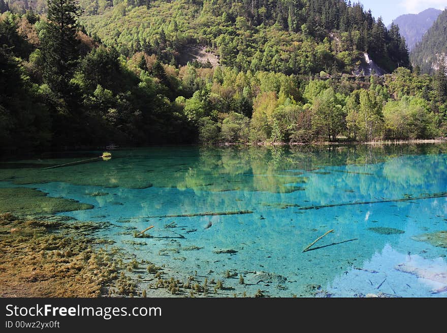 Lake in jiuzhaigou valley scene，sichuan province. Lake in jiuzhaigou valley scene，sichuan province