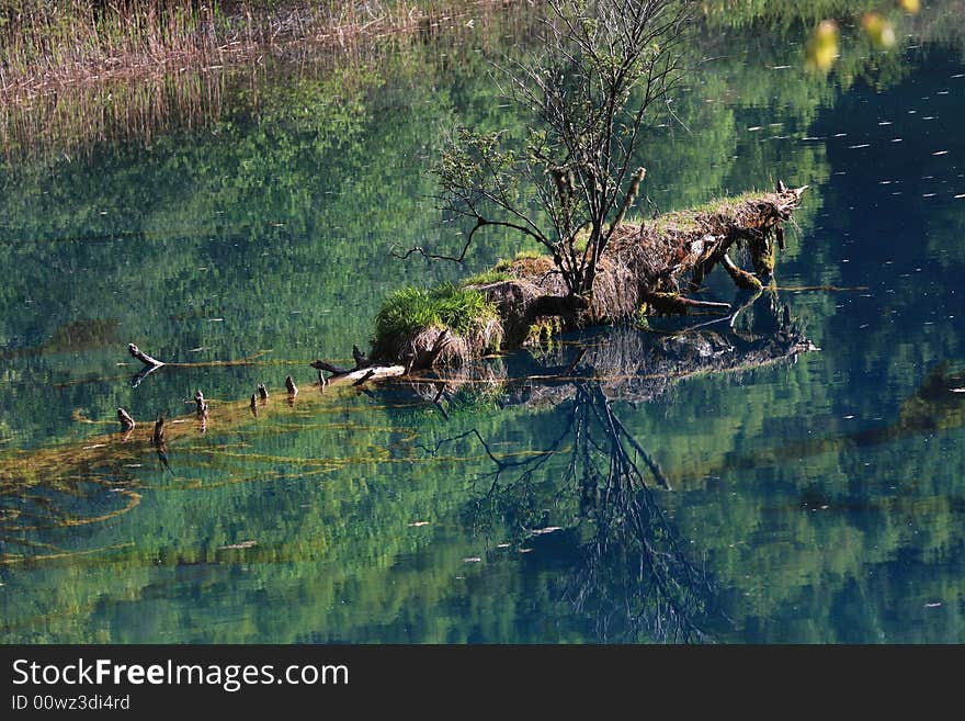 Peacock lake