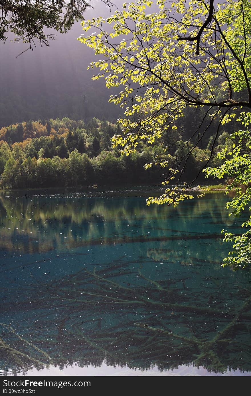 Lake in jiuzhaigou valley scene，sichuan province. Lake in jiuzhaigou valley scene，sichuan province