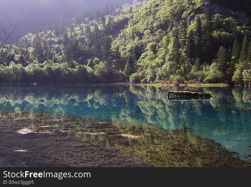 Peacock lake