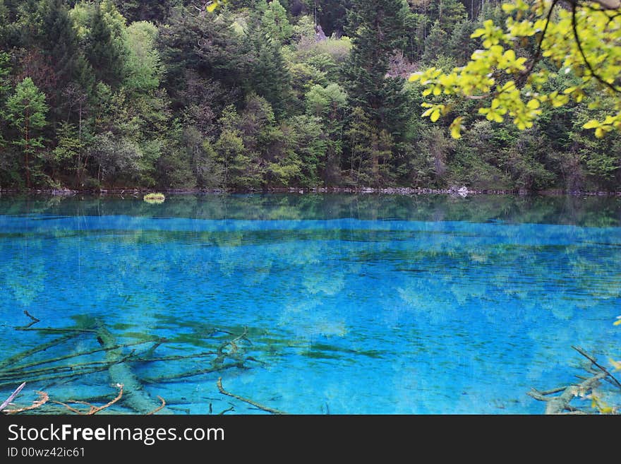 Peacock lake