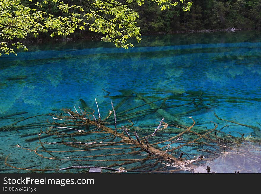 Peacock Lake