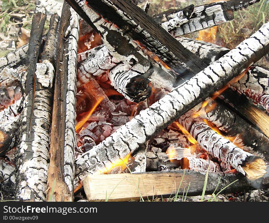 Fire wood burning outdoor closeup