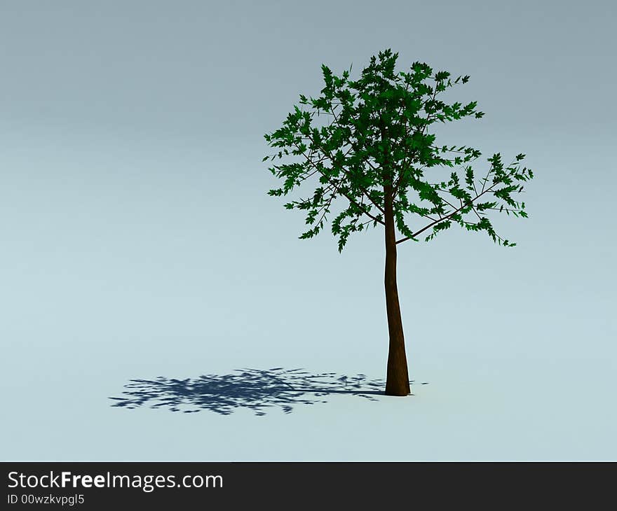 Green tree for a background. Green tree for a background