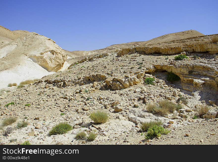 Israel. Variety of colors of Judean desert.