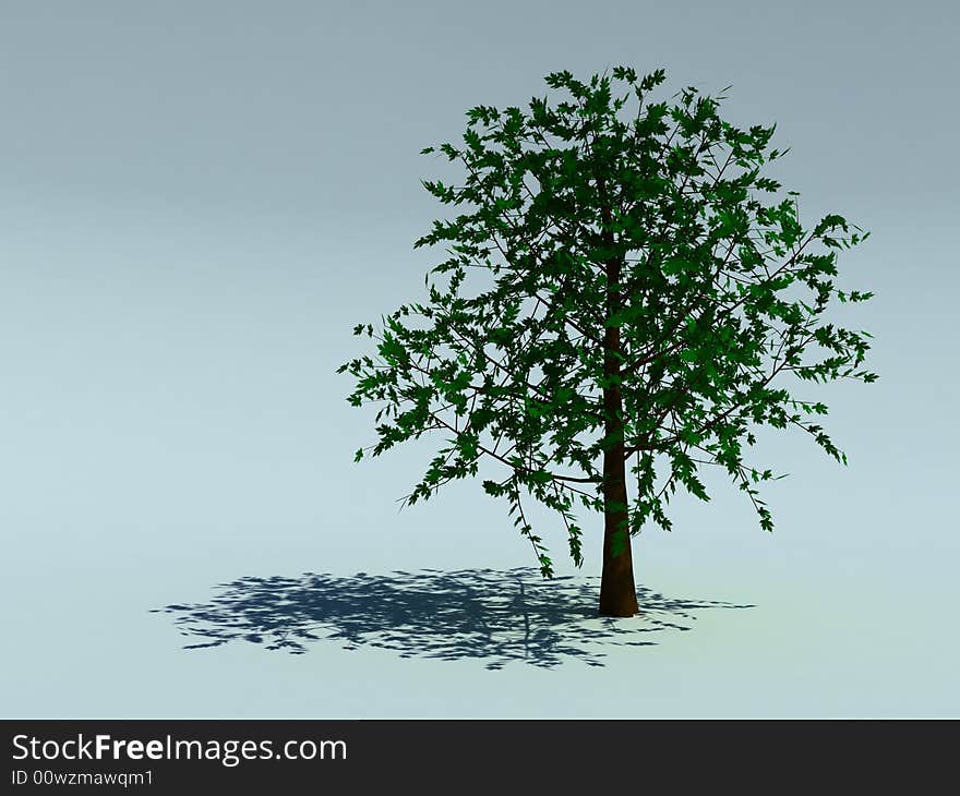 Green tree for a background. Green tree for a background