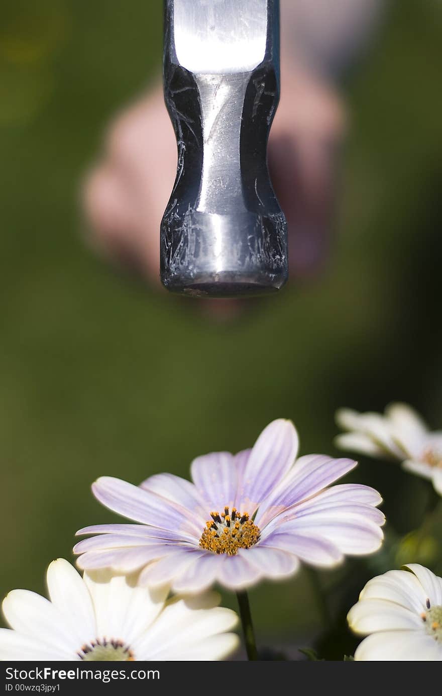 Hammer crushing flower indicating environmental damage!