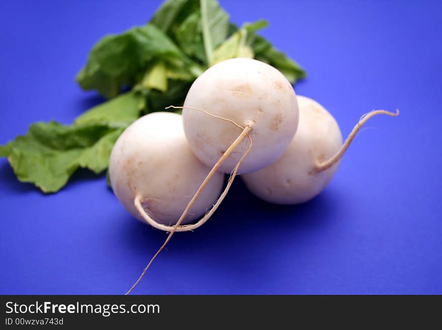 3 white radishes on a blue background