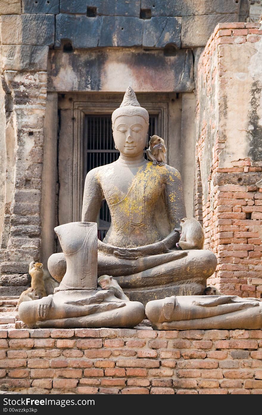 Monkeys in Buddhist temple ruins in Asia. Monkeys in Buddhist temple ruins in Asia.