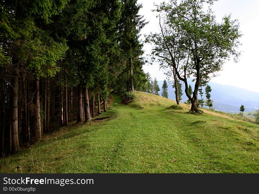 Road in the mounts