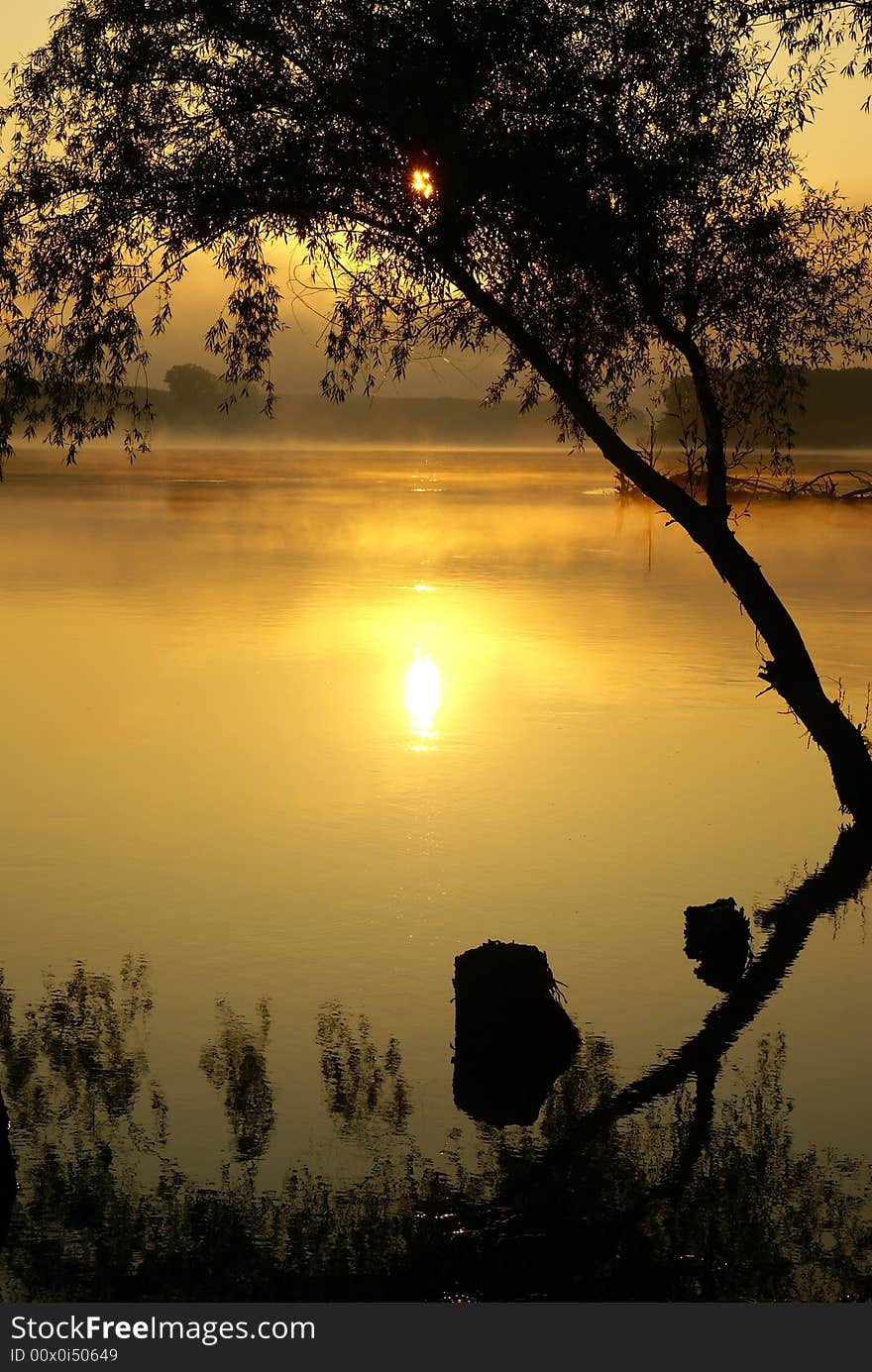 Dawn on the Danube river