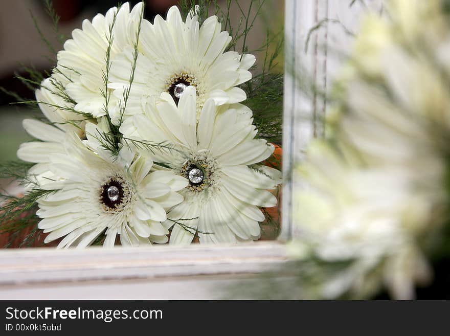 Flower Reflections