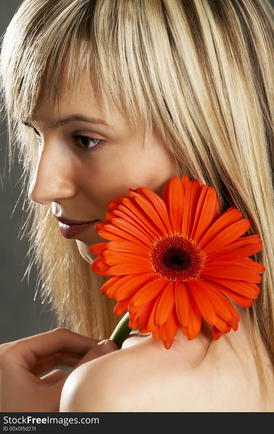 close up glamor girl posing on a grey background