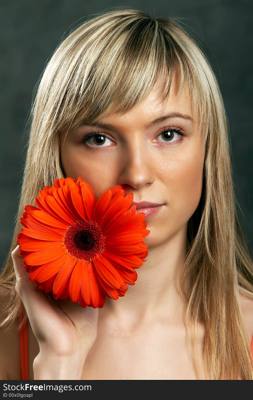 Close up glamor girl posing on a grey background