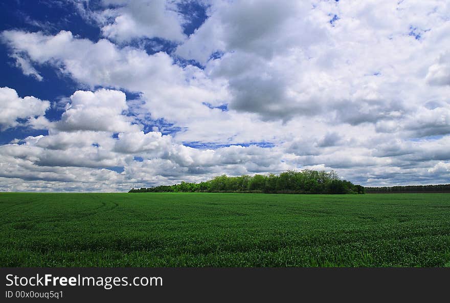 The green field and white cloud. The green field and white cloud