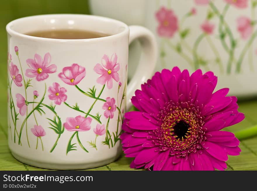 Tea time with pink Gerbera on green background