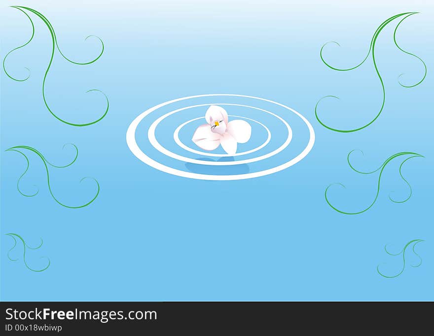 The Flower on water with algae and ripple on the water. The Flower on water with algae and ripple on the water.