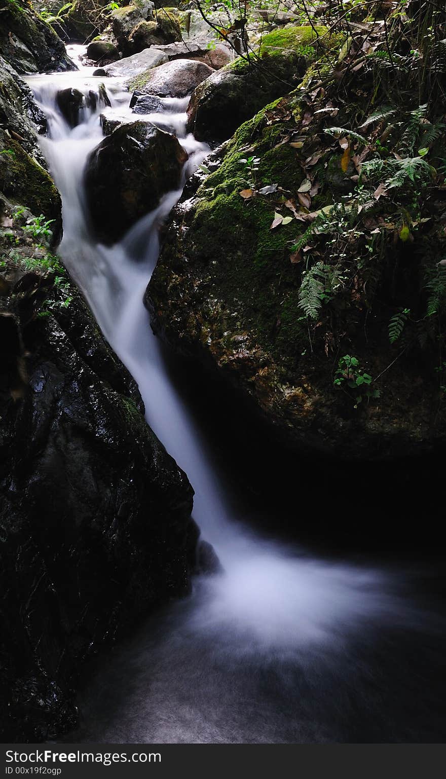 A small mountain stream 1