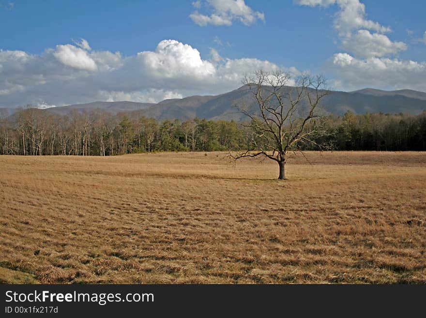 Sky with Mountains and Pasture