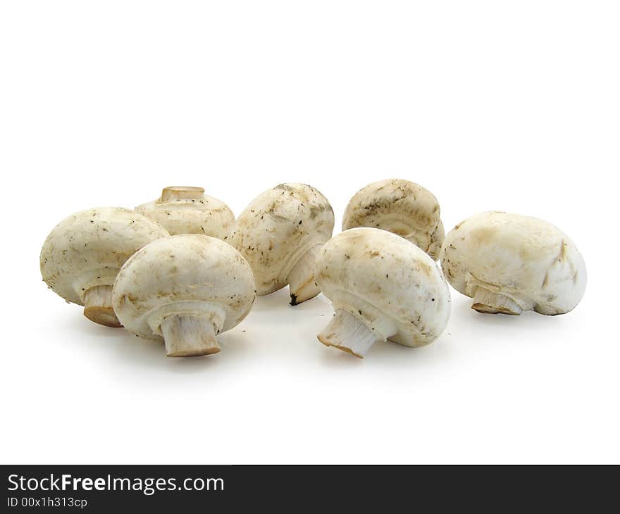 Champignons on a white background