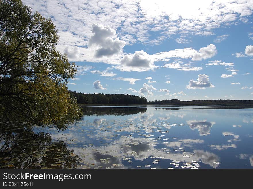 Lake and tree under sky and clouds