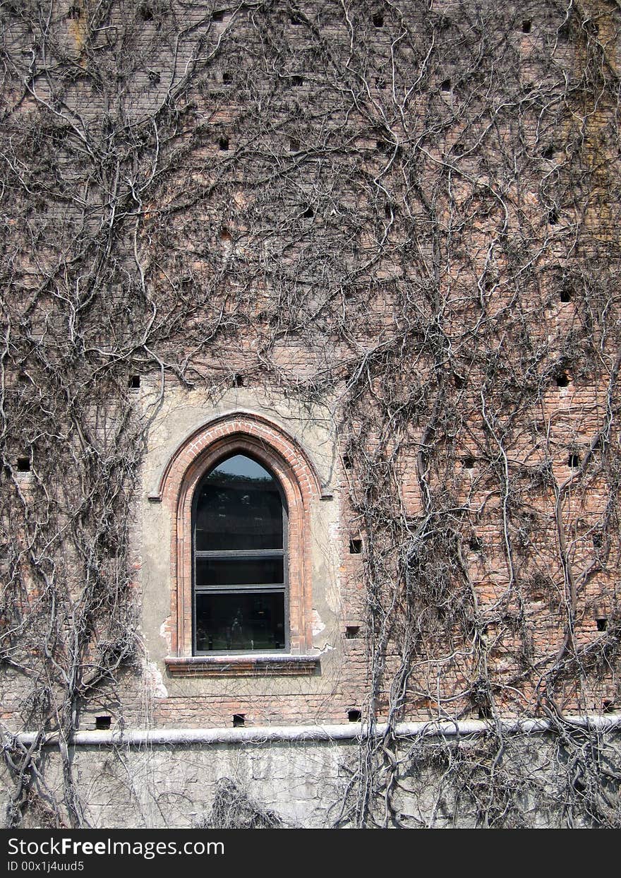 A window in the Sforzesco Castle in Milan, Italy