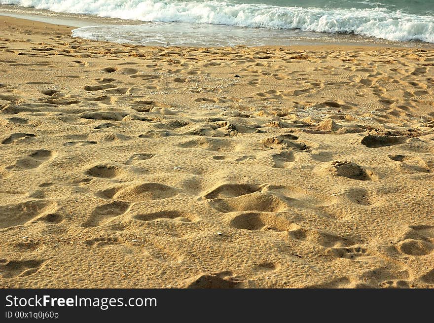 Peaceful sandy tropical beach on a summer day. Peaceful sandy tropical beach on a summer day