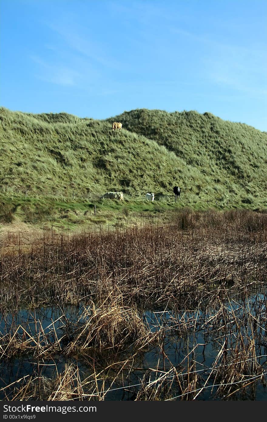 Weird sand dunes on the west coast of ireland. Weird sand dunes on the west coast of ireland