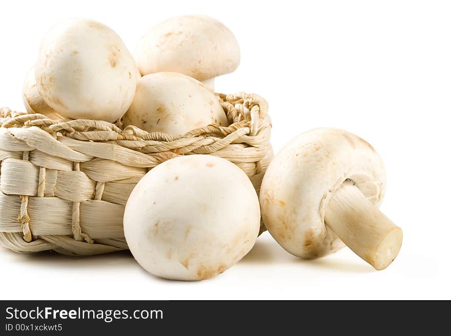 Fresh Mushrooms