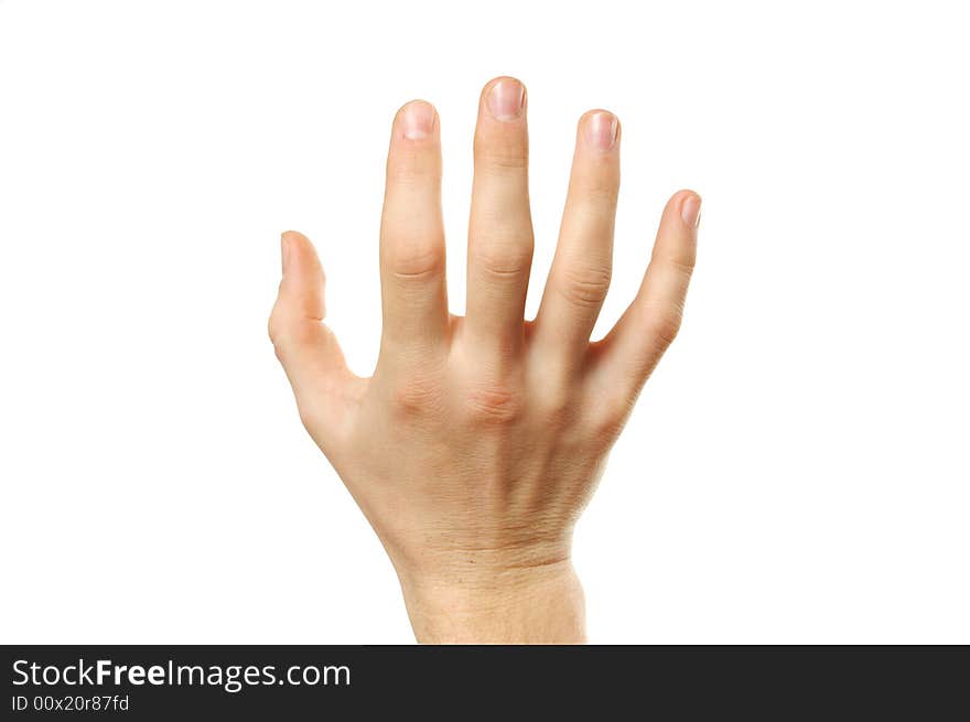 Palm to hold something isolated over white background