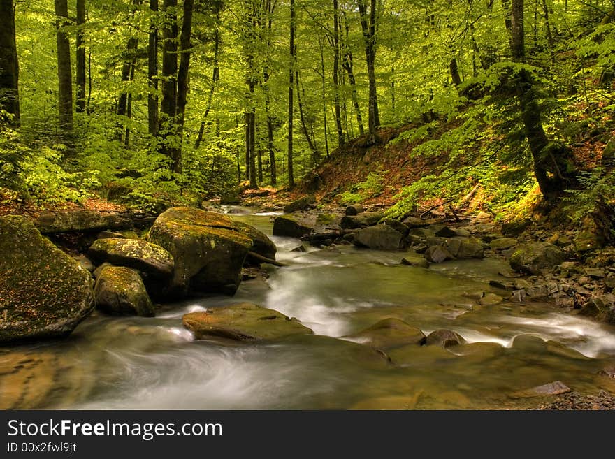 Mountain river in the forest of mountains with a waterfall