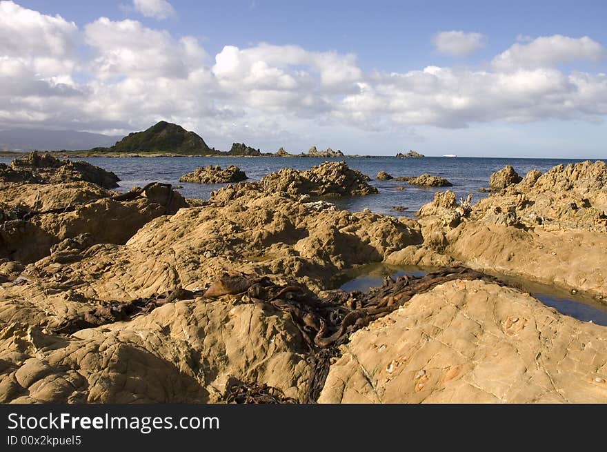 Rugged coastline at the Southern tip of the North island of New Zealand