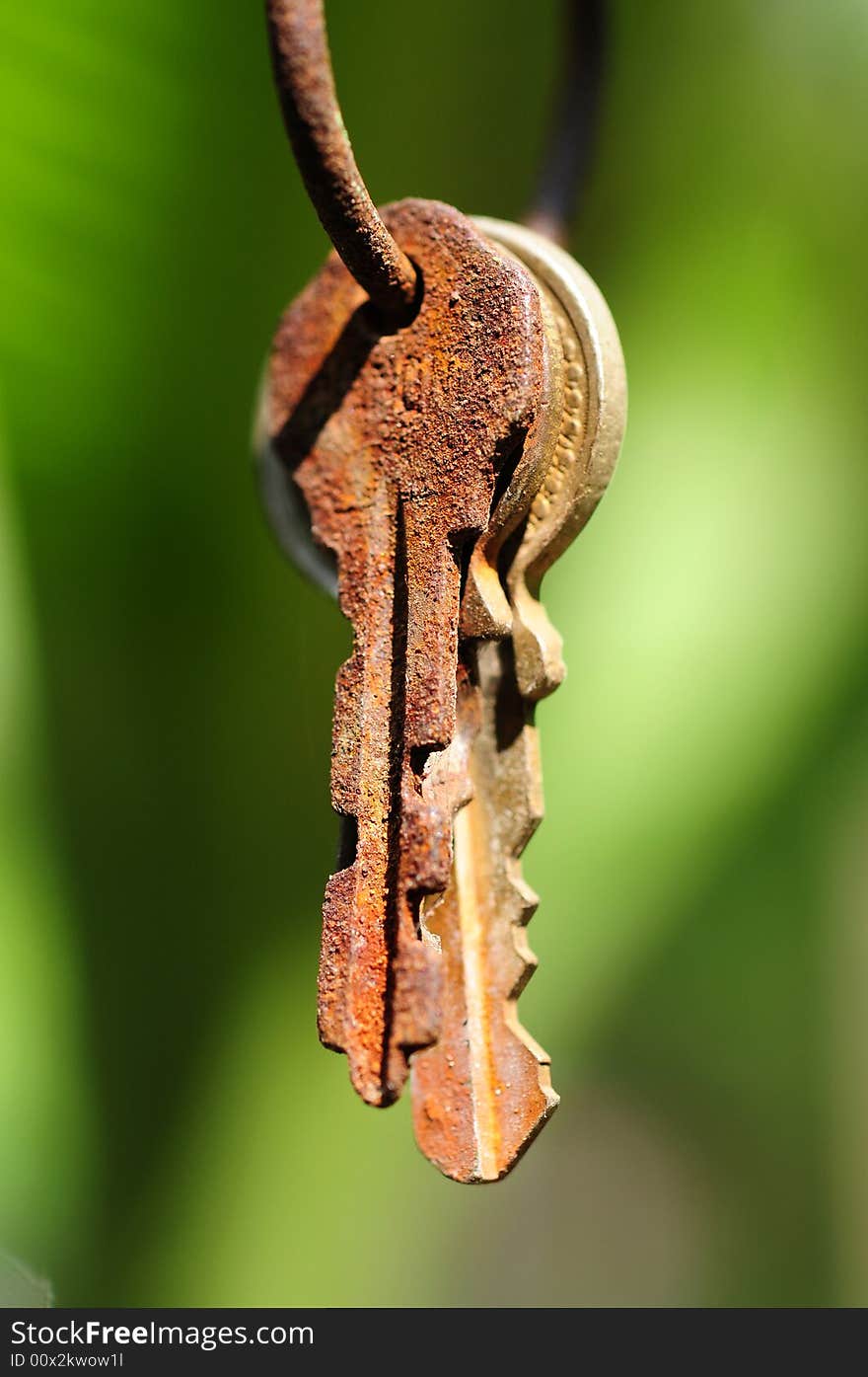 A view with an old key hanging