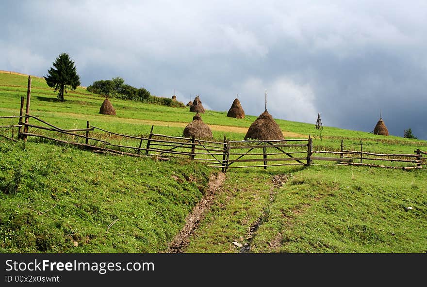 Stacks of hay