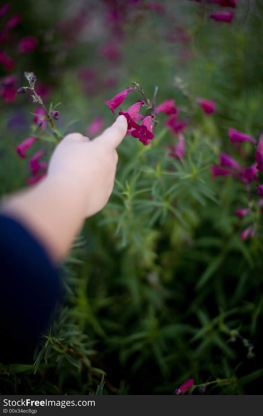 Hand Of Child