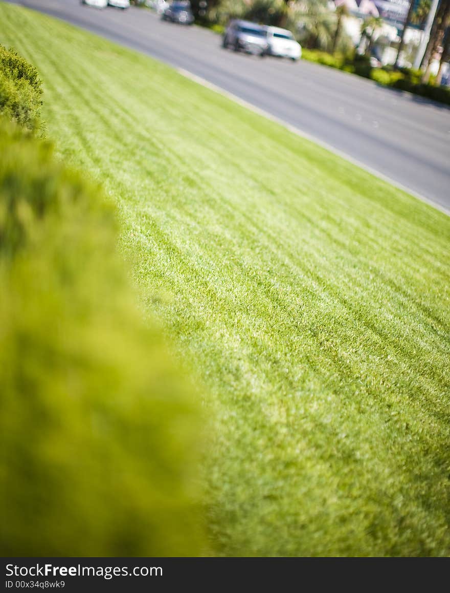 Green grass in the foreground with a street and cars in the background in the spring outside. Green grass in the foreground with a street and cars in the background in the spring outside